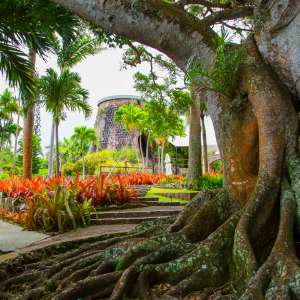 Montpelier Plantation and Beach in Nevis