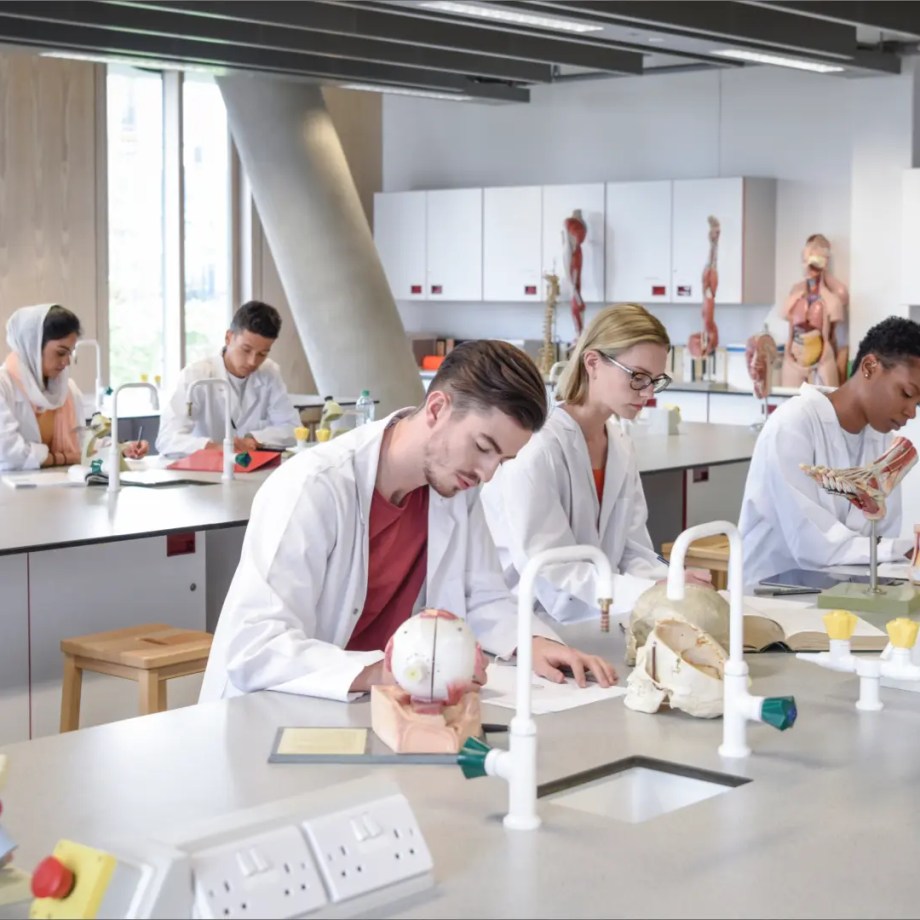 The role of Basic Science in medical education