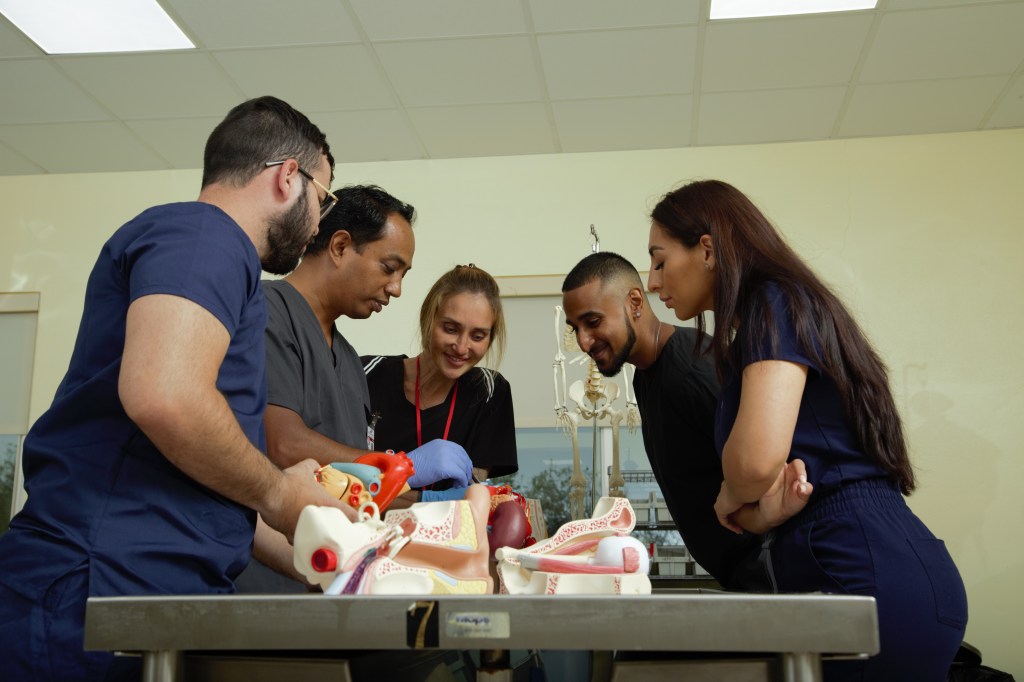 MUA Anatomy Lab