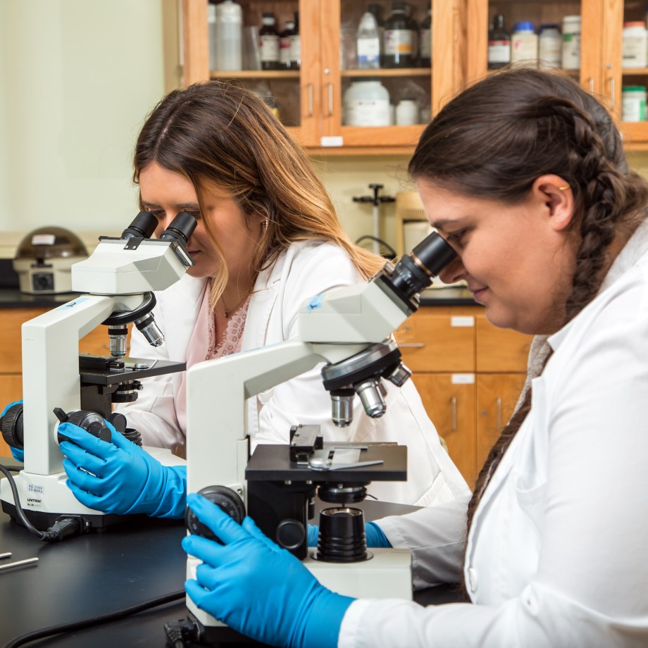 Students Conducting Research in the MUA Lab