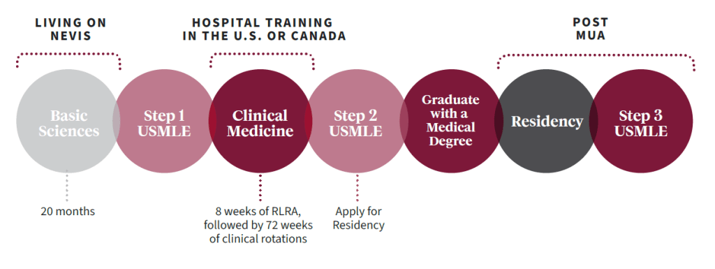 MUA MD program timeline